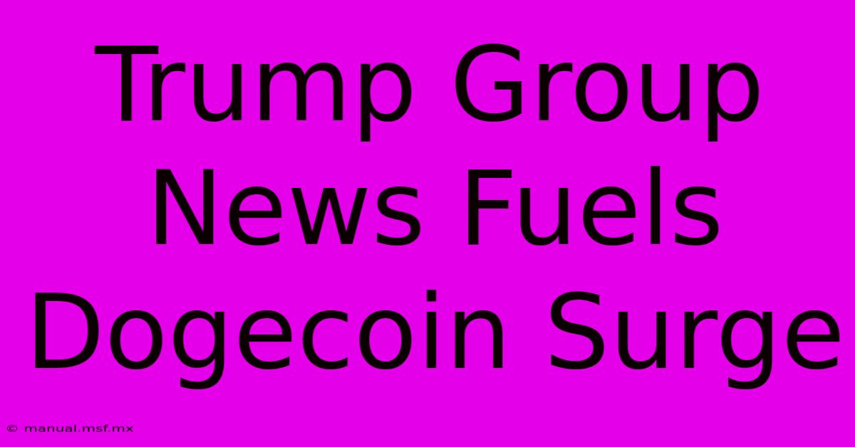 Trump Group News Fuels Dogecoin Surge 