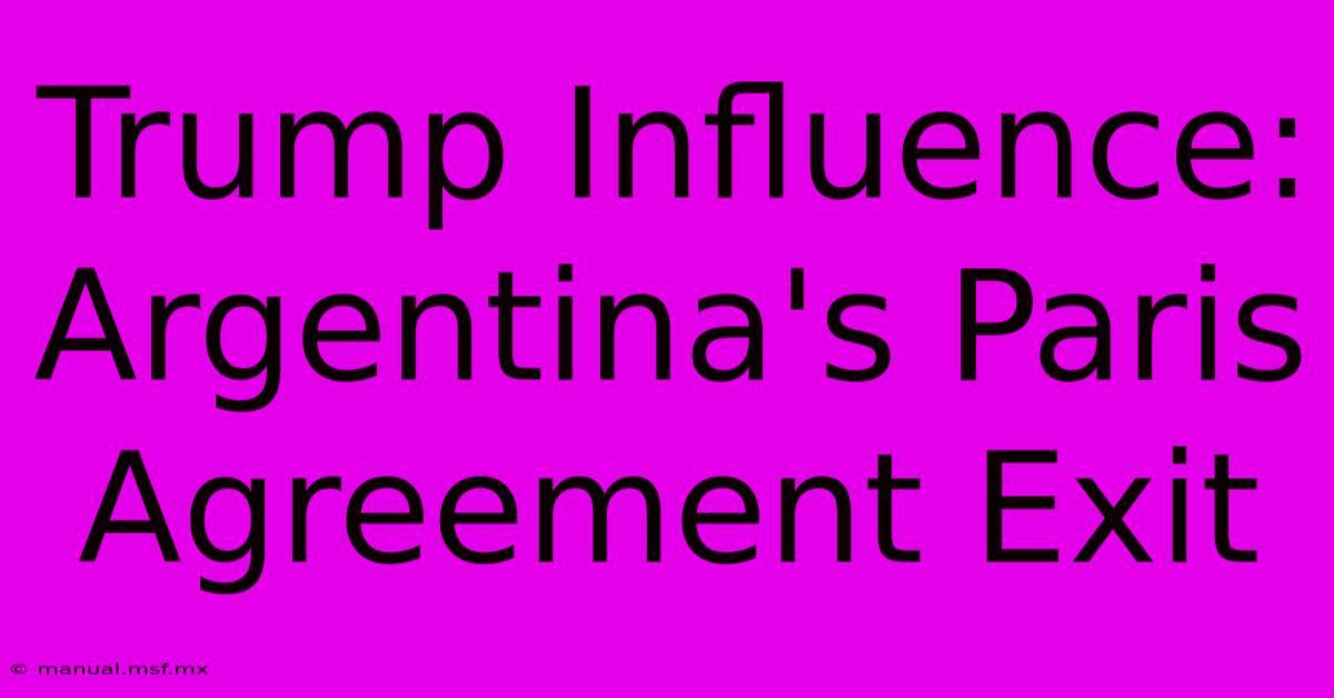 Trump Influence: Argentina's Paris Agreement Exit