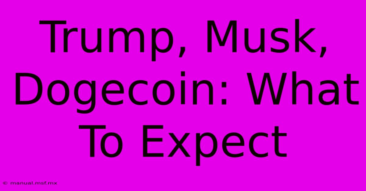 Trump, Musk, Dogecoin: What To Expect