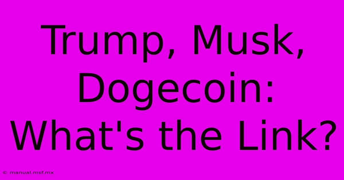 Trump, Musk, Dogecoin: What's The Link?