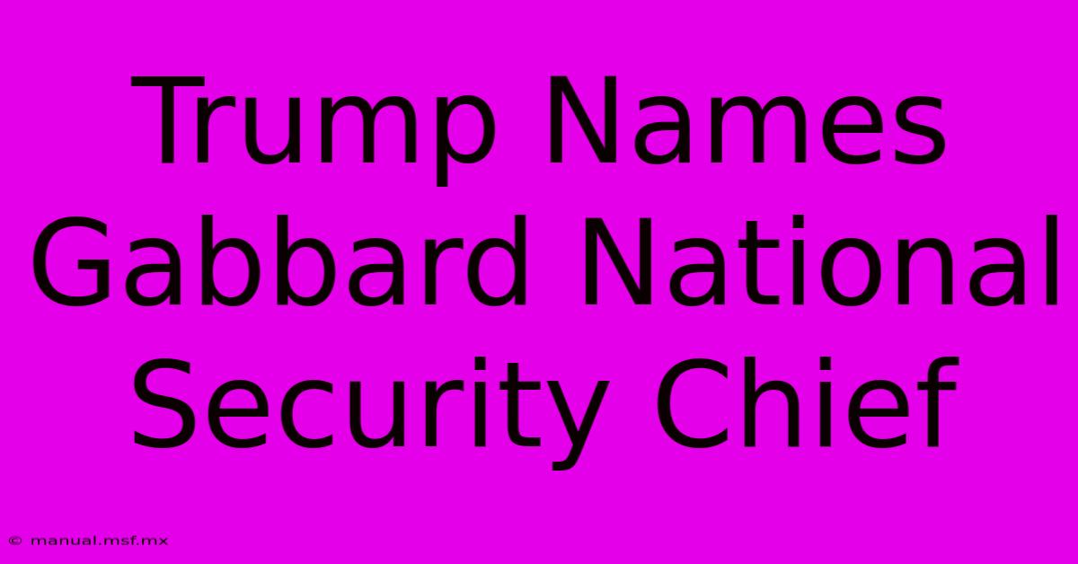 Trump Names Gabbard National Security Chief