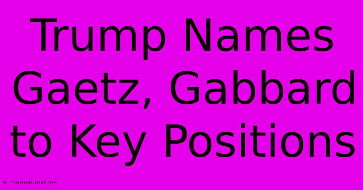 Trump Names Gaetz, Gabbard To Key Positions