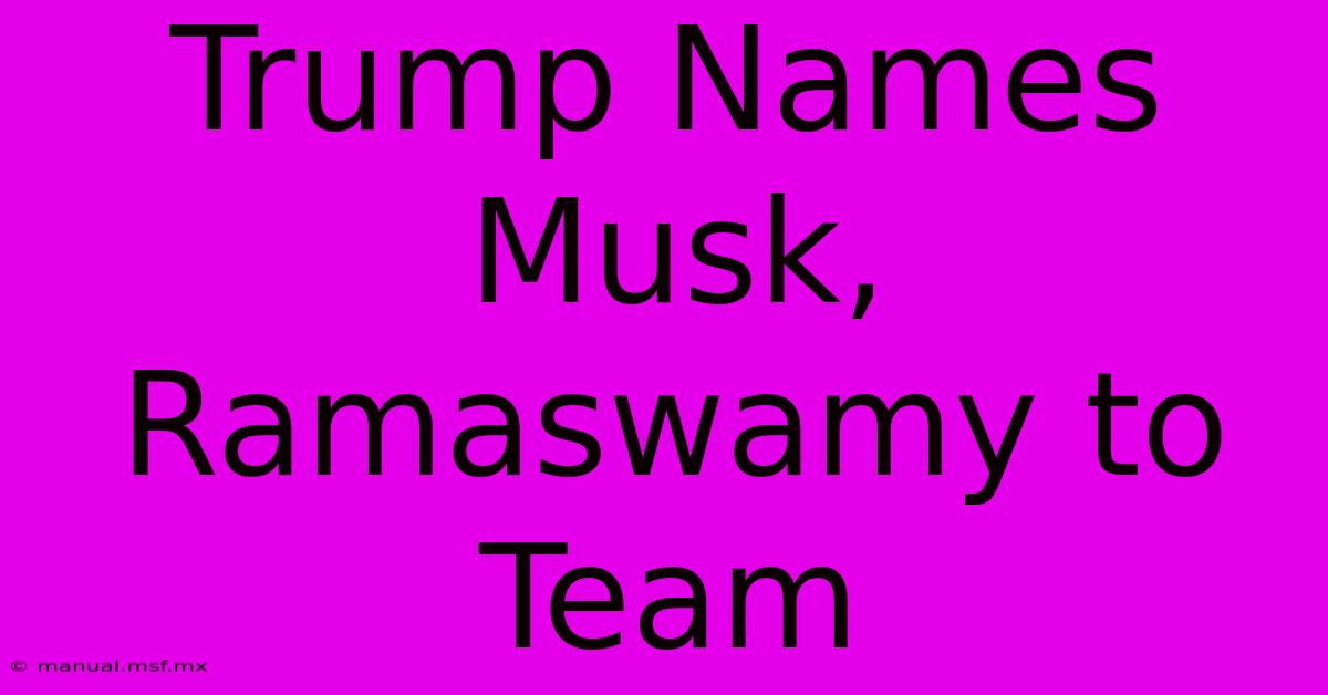 Trump Names Musk, Ramaswamy To Team