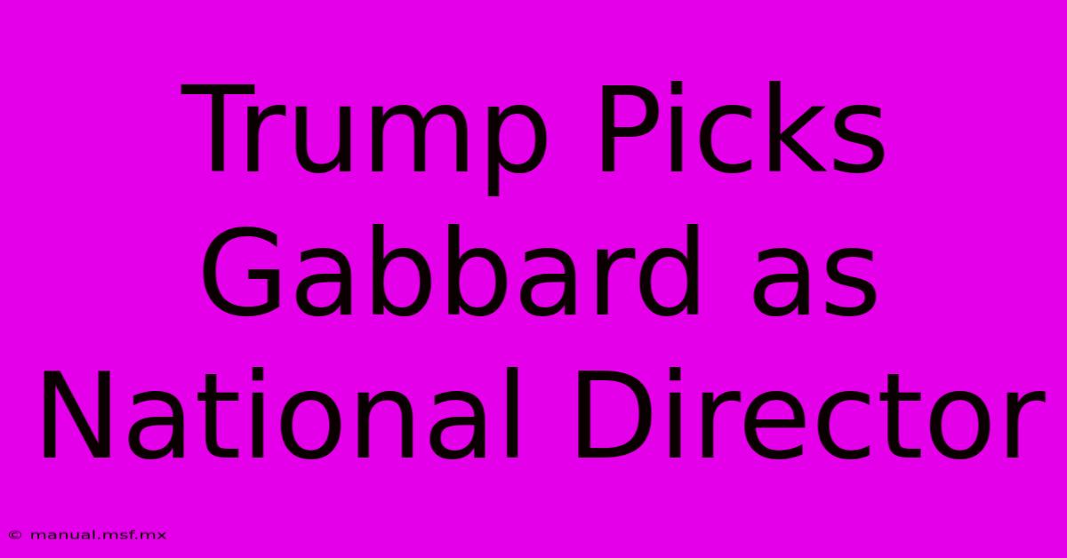 Trump Picks Gabbard As National Director