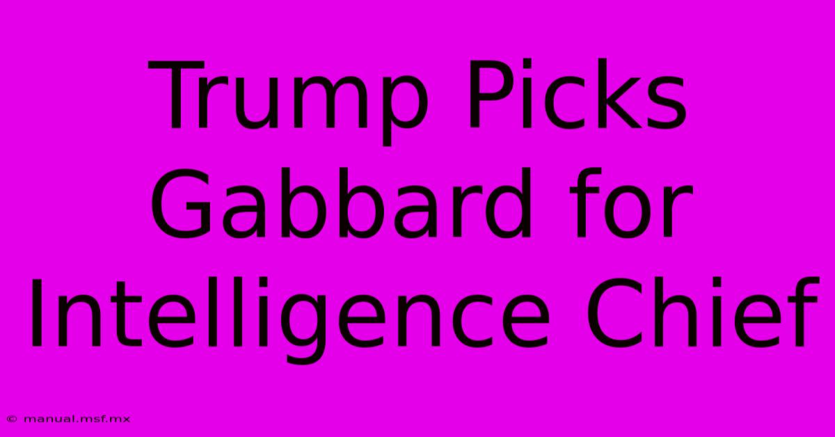 Trump Picks Gabbard For Intelligence Chief