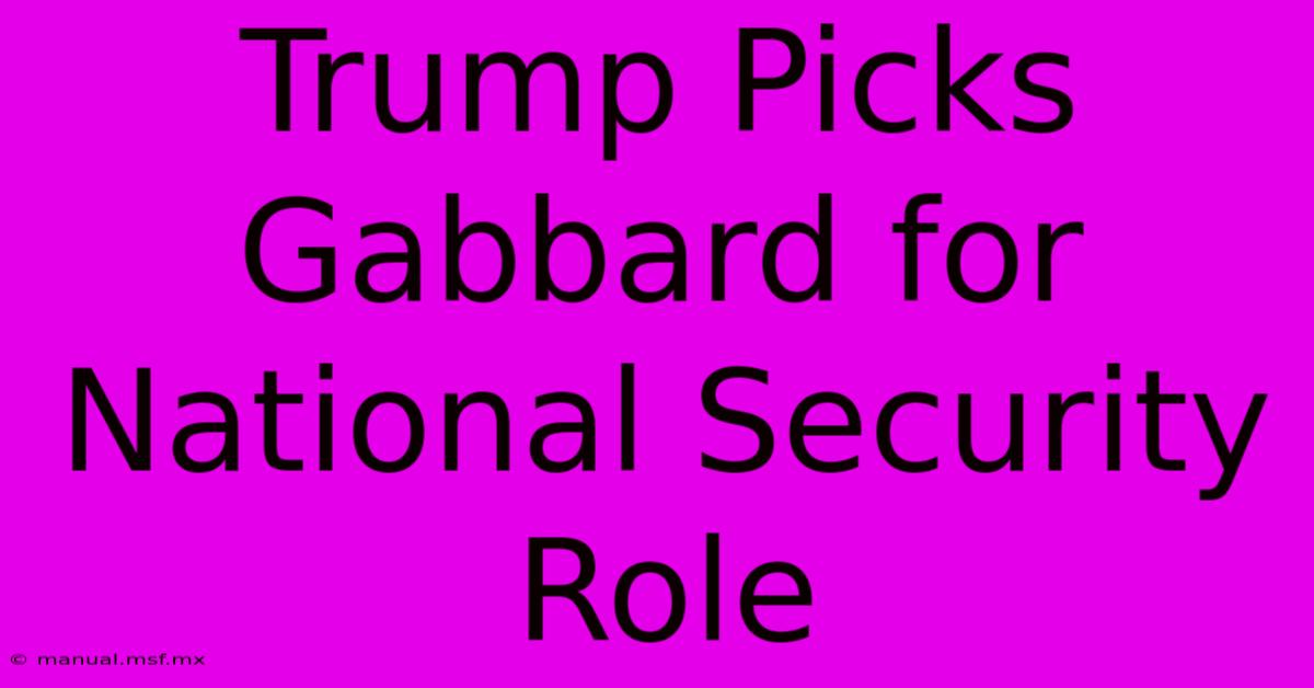 Trump Picks Gabbard For National Security Role