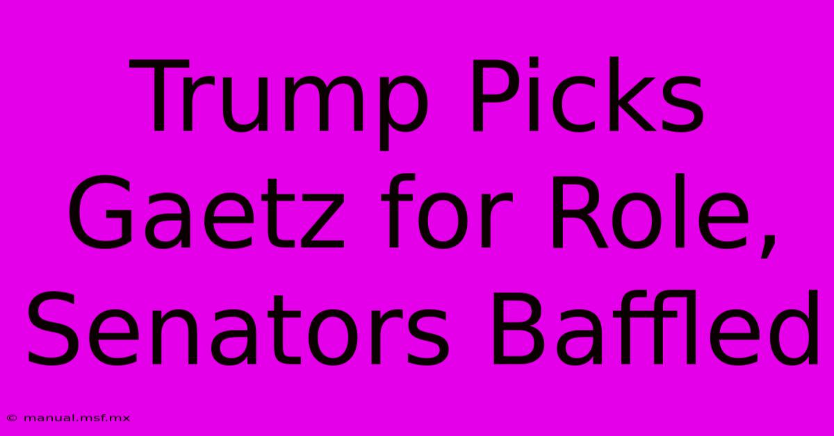 Trump Picks Gaetz For Role, Senators Baffled