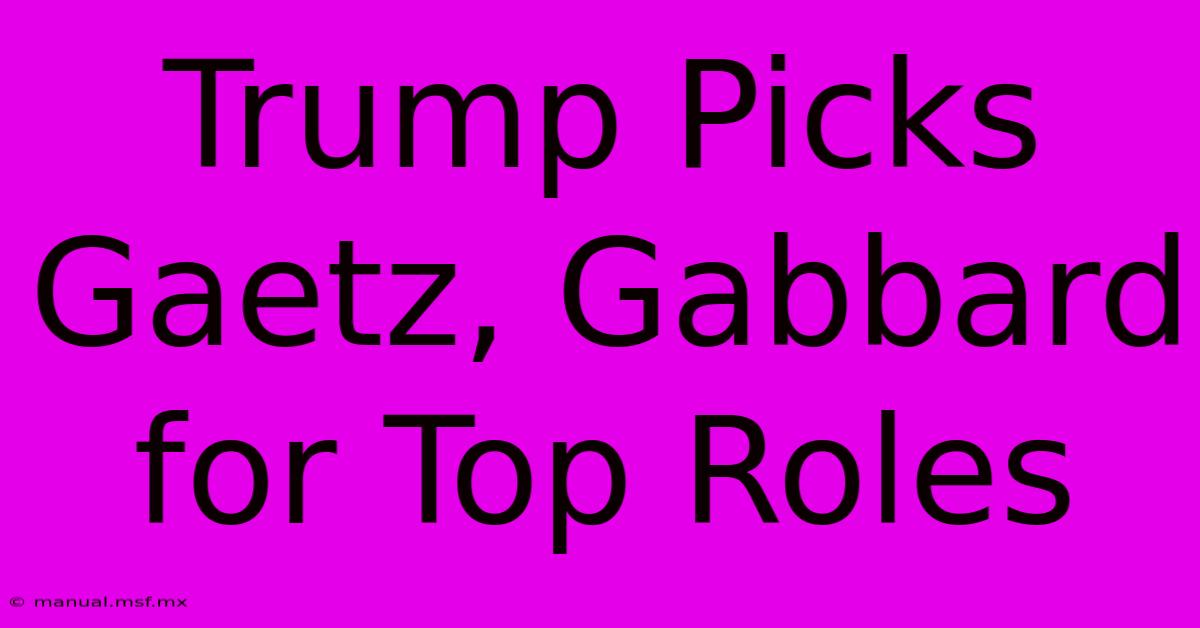 Trump Picks Gaetz, Gabbard For Top Roles