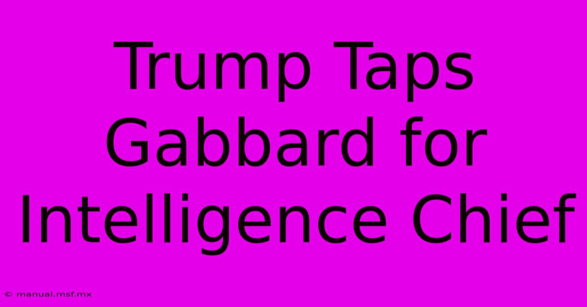 Trump Taps Gabbard For Intelligence Chief