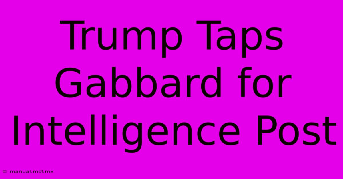 Trump Taps Gabbard For Intelligence Post