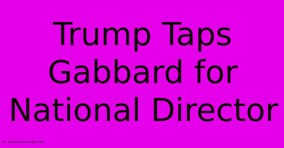 Trump Taps Gabbard For National Director 