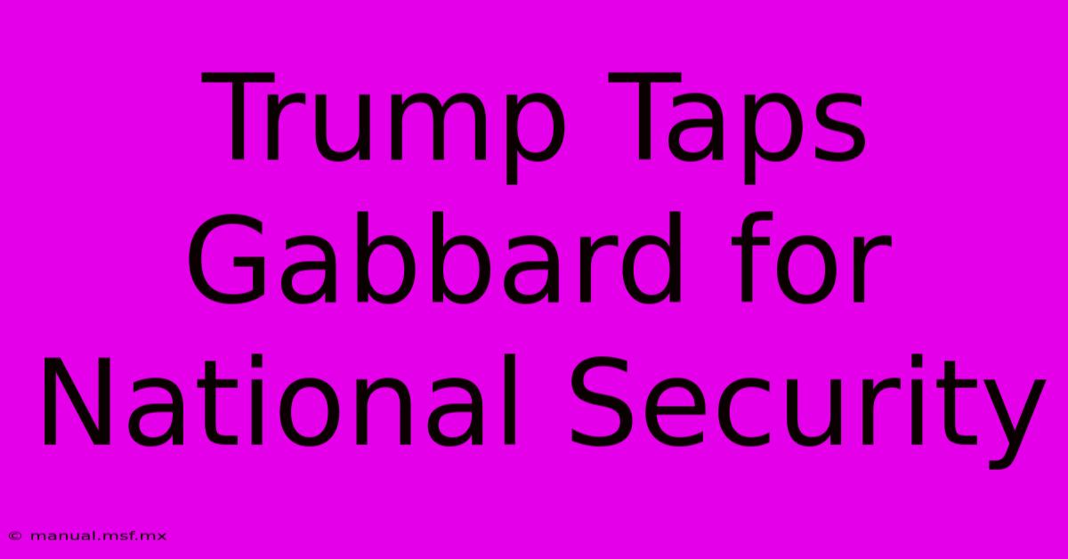 Trump Taps Gabbard For National Security