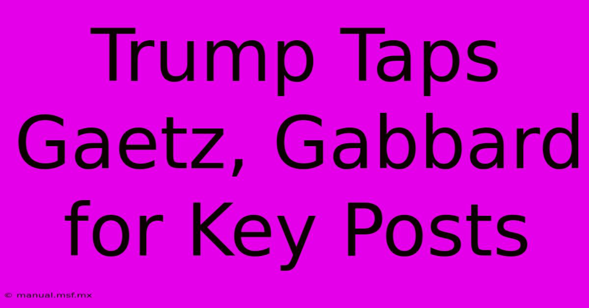 Trump Taps Gaetz, Gabbard For Key Posts