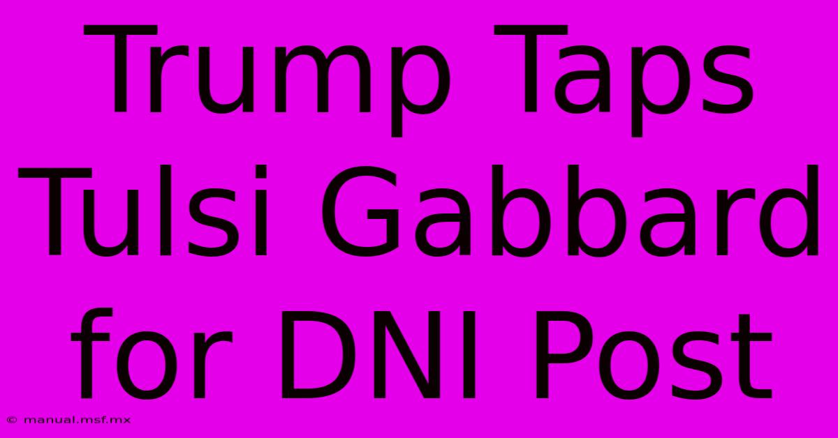 Trump Taps Tulsi Gabbard For DNI Post