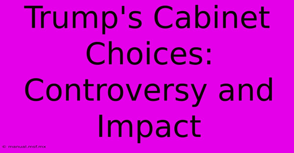 Trump's Cabinet Choices: Controversy And Impact 