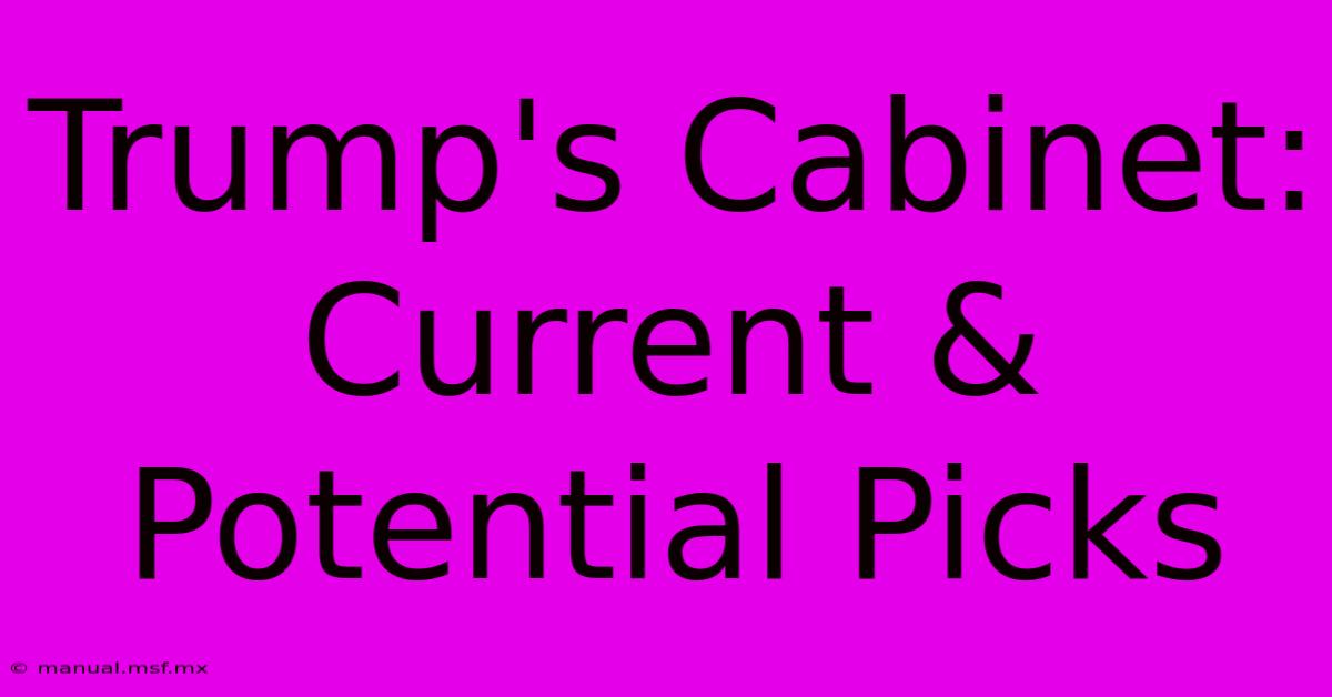 Trump's Cabinet: Current & Potential Picks