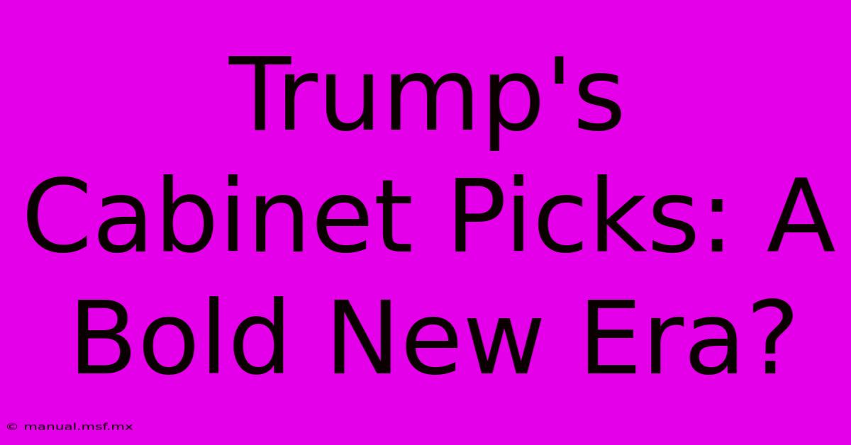 Trump's Cabinet Picks: A Bold New Era?