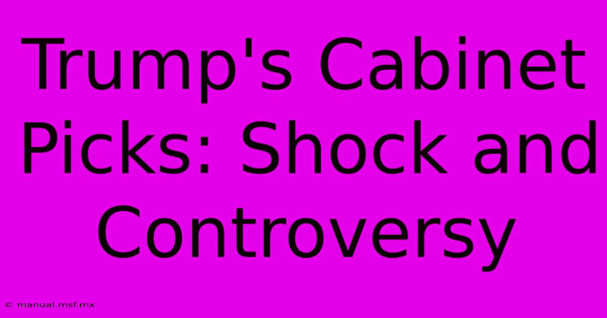 Trump's Cabinet Picks: Shock And Controversy