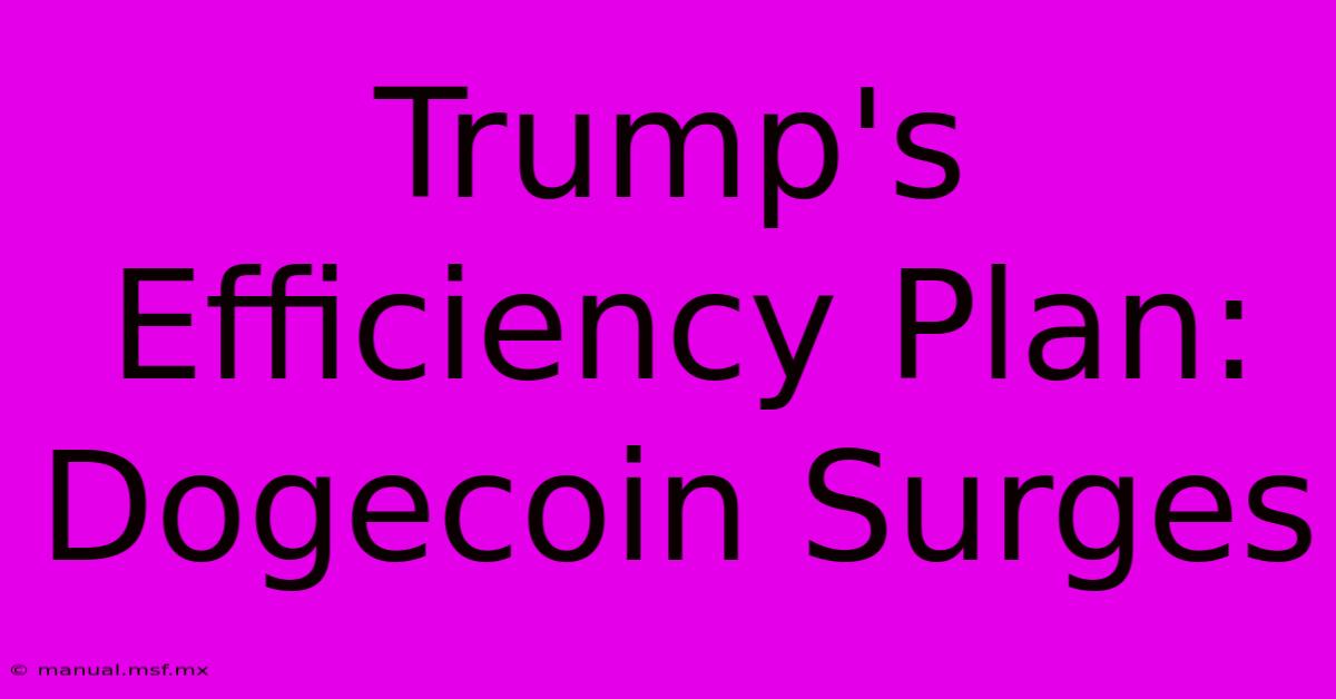 Trump's Efficiency Plan: Dogecoin Surges