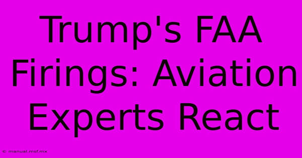 Trump's FAA Firings: Aviation Experts React