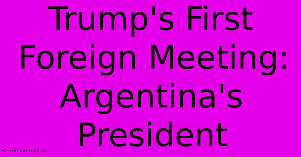 Trump's First Foreign Meeting: Argentina's President