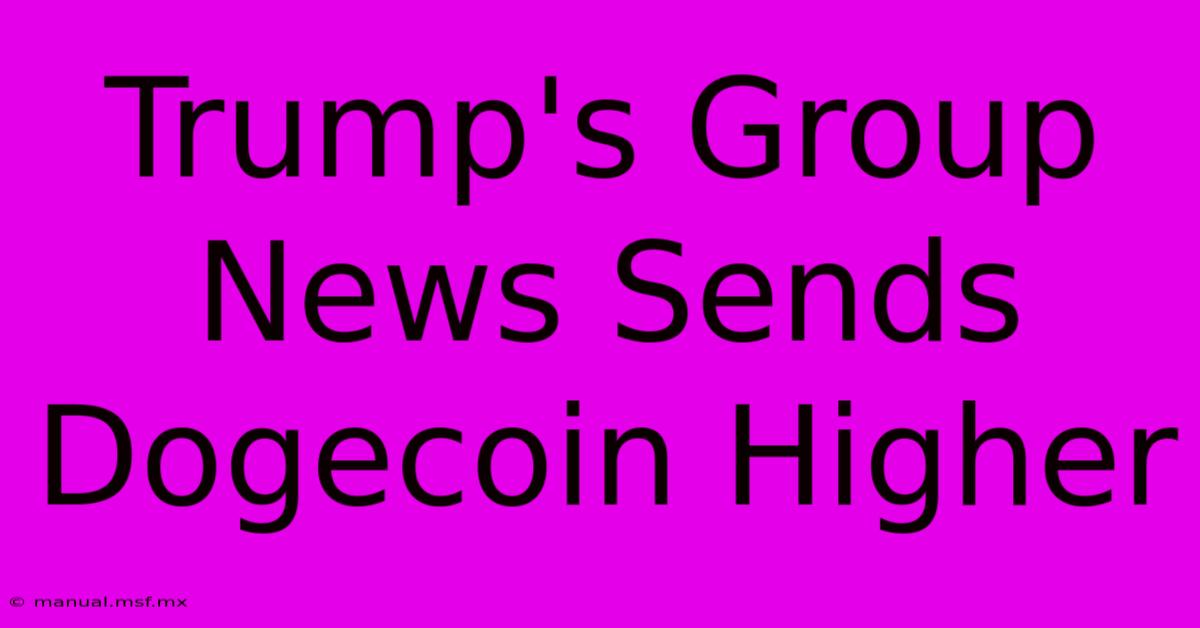 Trump's Group News Sends Dogecoin Higher