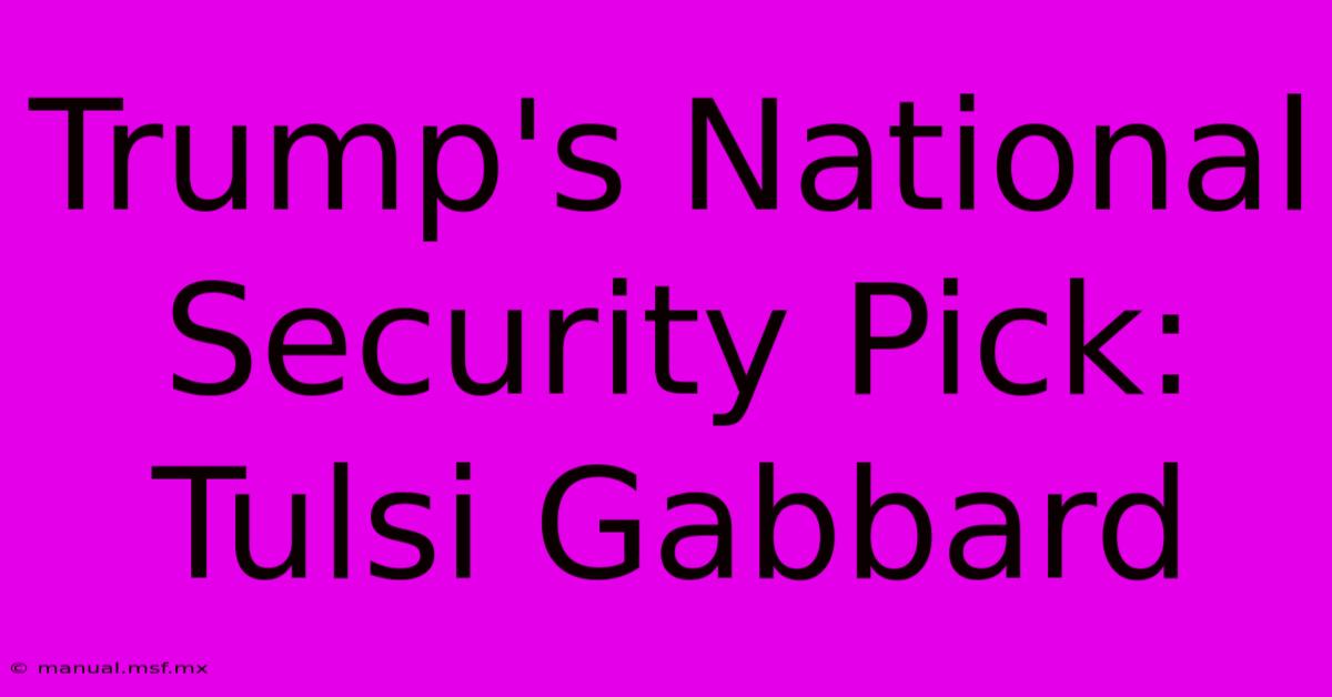 Trump's National Security Pick: Tulsi Gabbard 