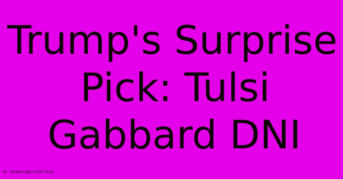 Trump's Surprise Pick: Tulsi Gabbard DNI 