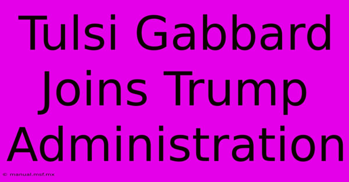 Tulsi Gabbard Joins Trump Administration