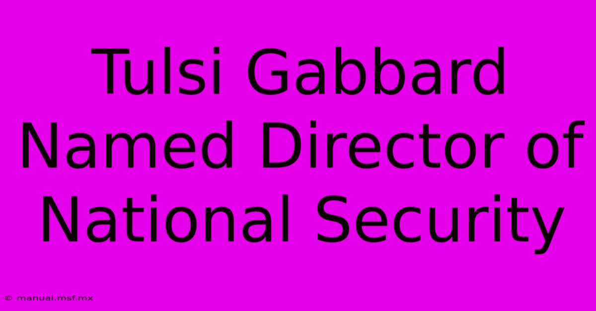 Tulsi Gabbard Named Director Of National Security