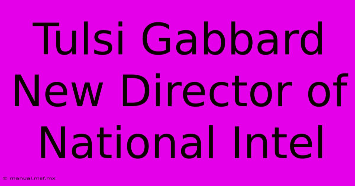 Tulsi Gabbard New Director Of National Intel