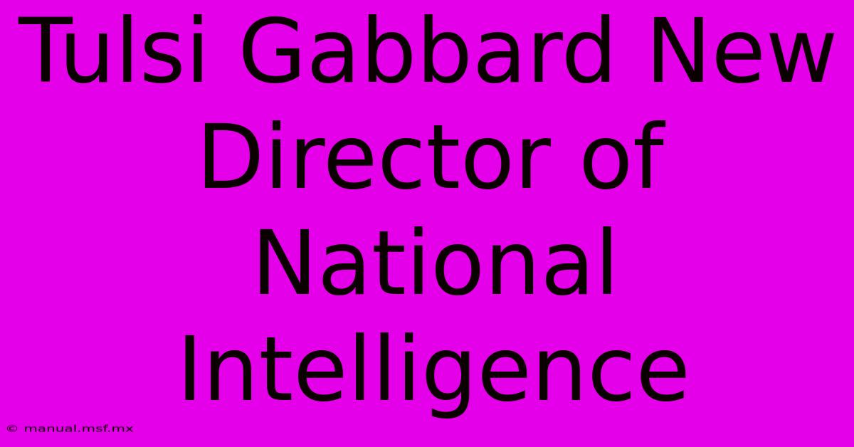 Tulsi Gabbard New Director Of National Intelligence