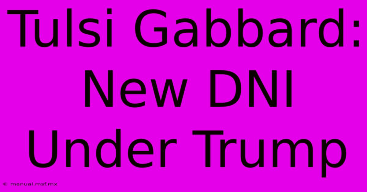 Tulsi Gabbard: New DNI Under Trump