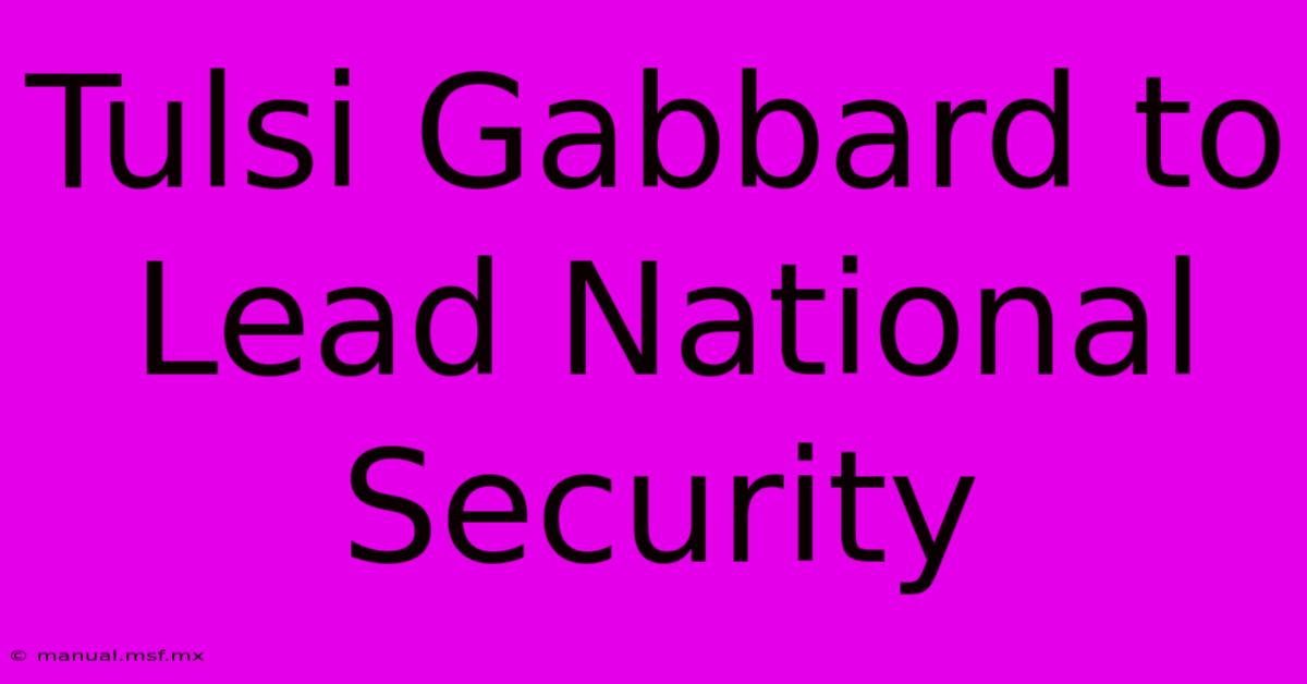 Tulsi Gabbard To Lead National Security