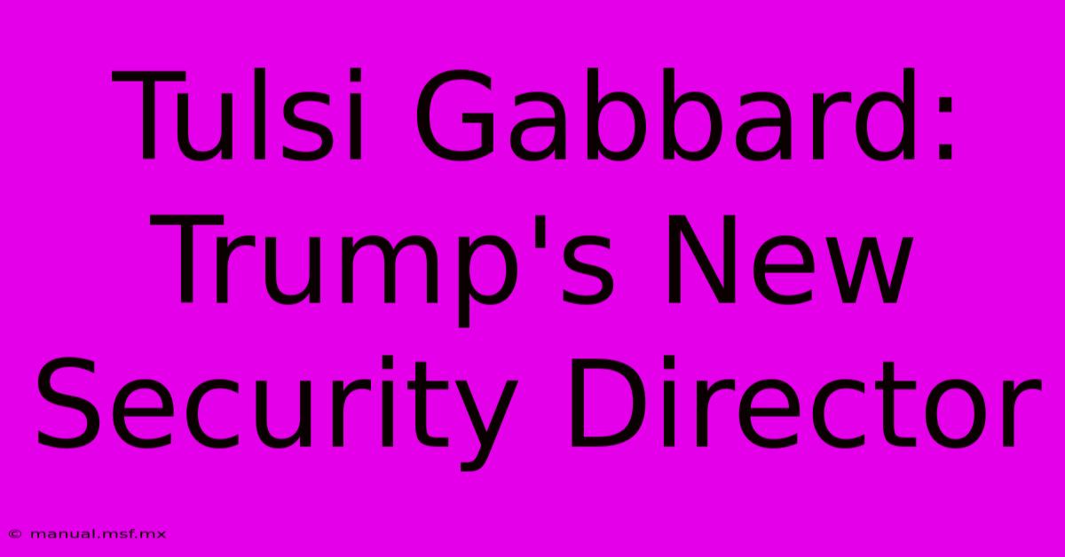 Tulsi Gabbard: Trump's New Security Director