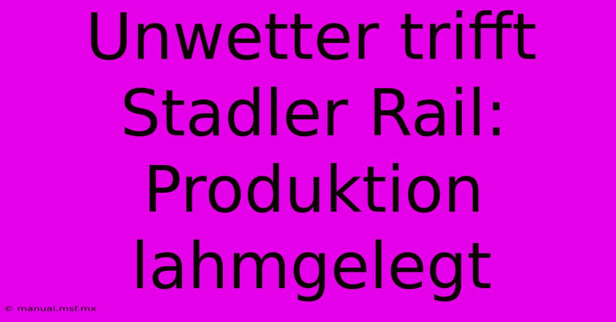 Unwetter Trifft Stadler Rail: Produktion Lahmgelegt