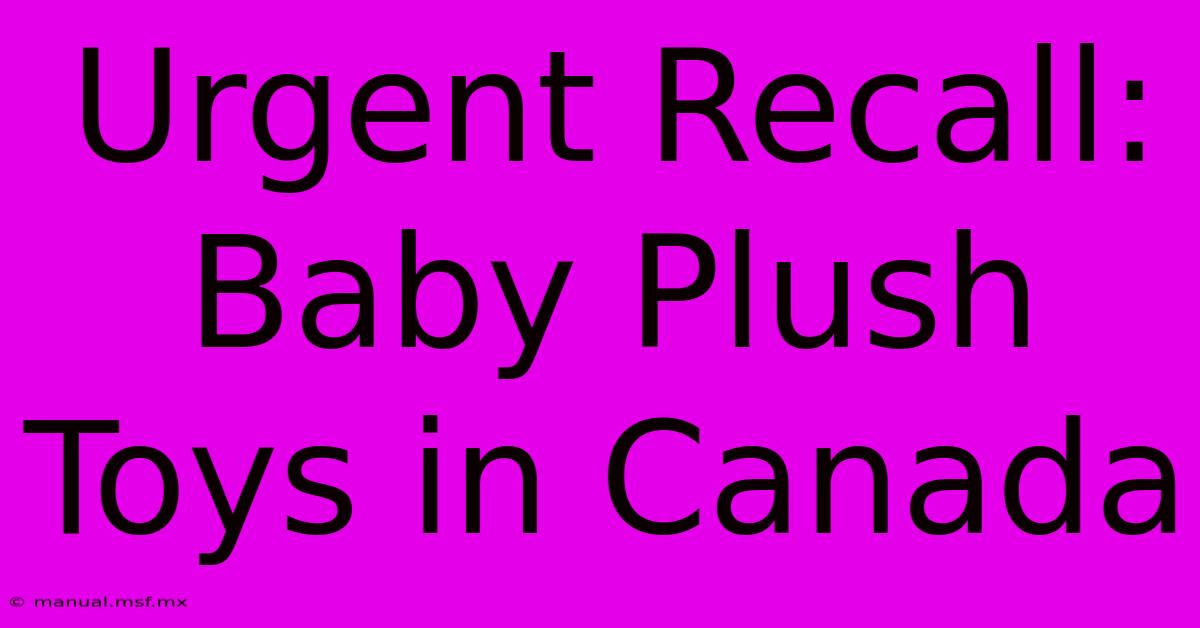 Urgent Recall: Baby Plush Toys In Canada