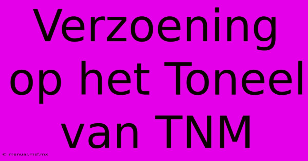 Verzoening Op Het Toneel Van TNM