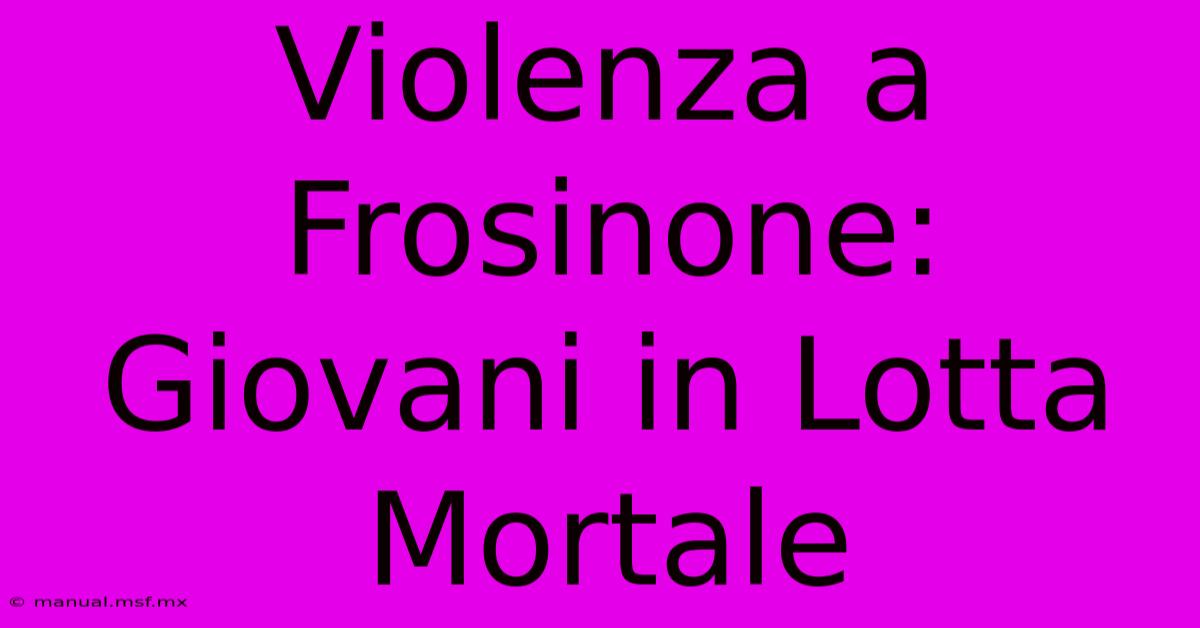 Violenza A Frosinone: Giovani In Lotta Mortale