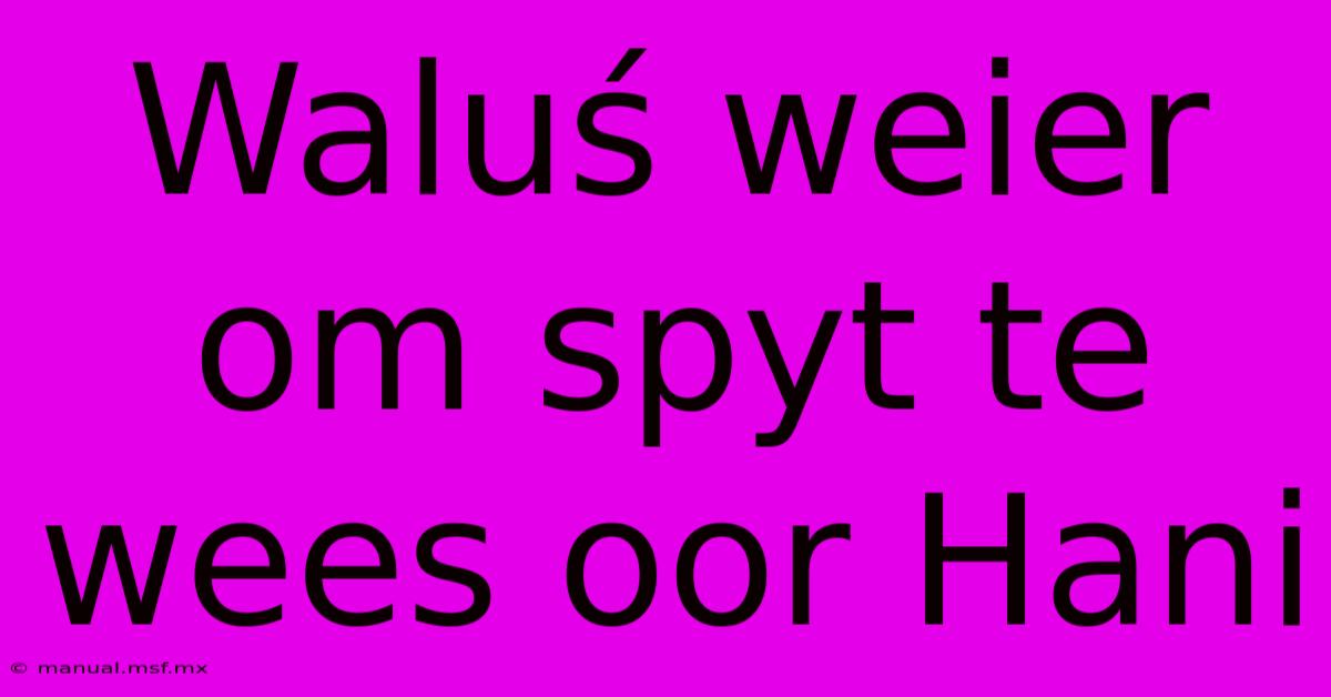 Waluś Weier Om Spyt Te Wees Oor Hani