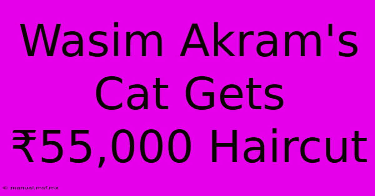 Wasim Akram's Cat Gets ₹55,000 Haircut