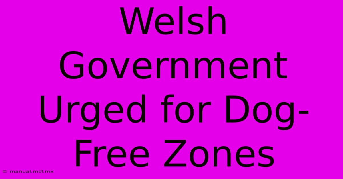 Welsh Government Urged For Dog-Free Zones