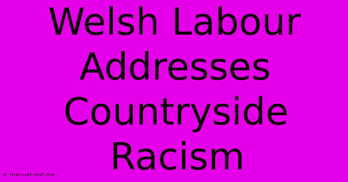 Welsh Labour Addresses Countryside Racism 