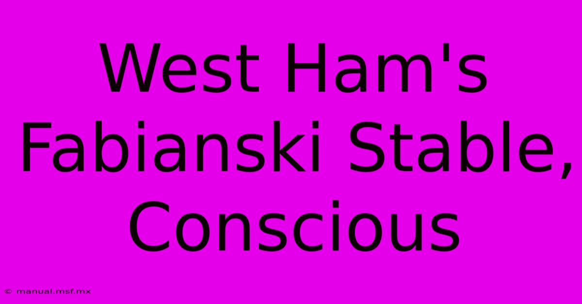 West Ham's Fabianski Stable, Conscious