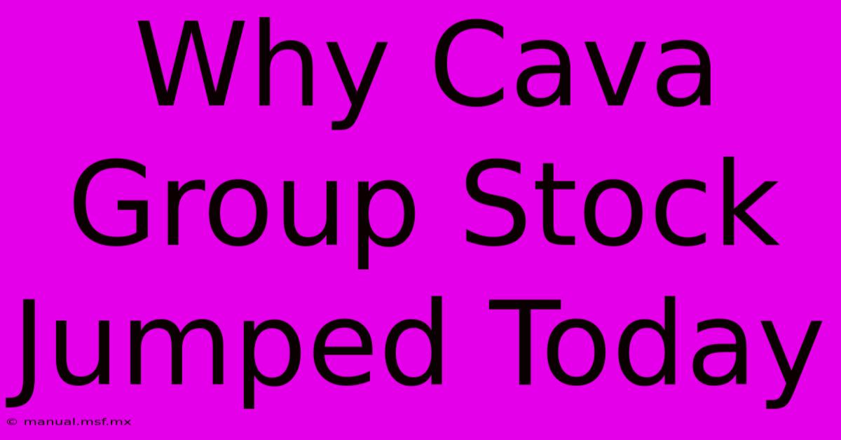 Why Cava Group Stock Jumped Today