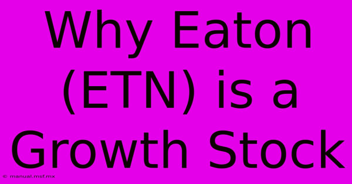 Why Eaton (ETN) Is A Growth Stock