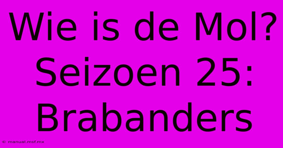 Wie Is De Mol? Seizoen 25: Brabanders