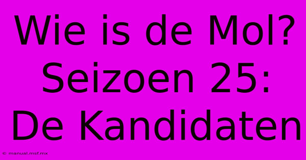 Wie Is De Mol? Seizoen 25: De Kandidaten 