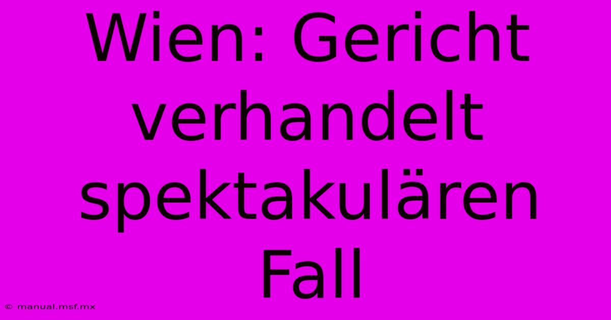 Wien: Gericht Verhandelt Spektakulären Fall