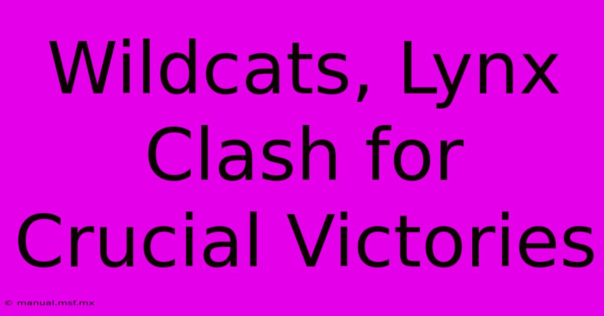 Wildcats, Lynx Clash For Crucial Victories